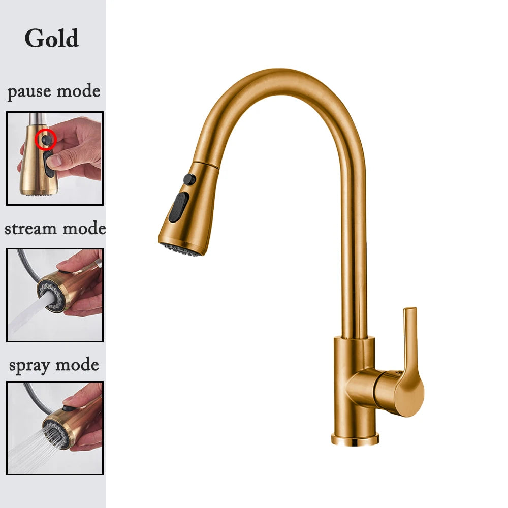 Black Pull-Out Kitchen Faucet with Brushed Nickel and Chrome Finish