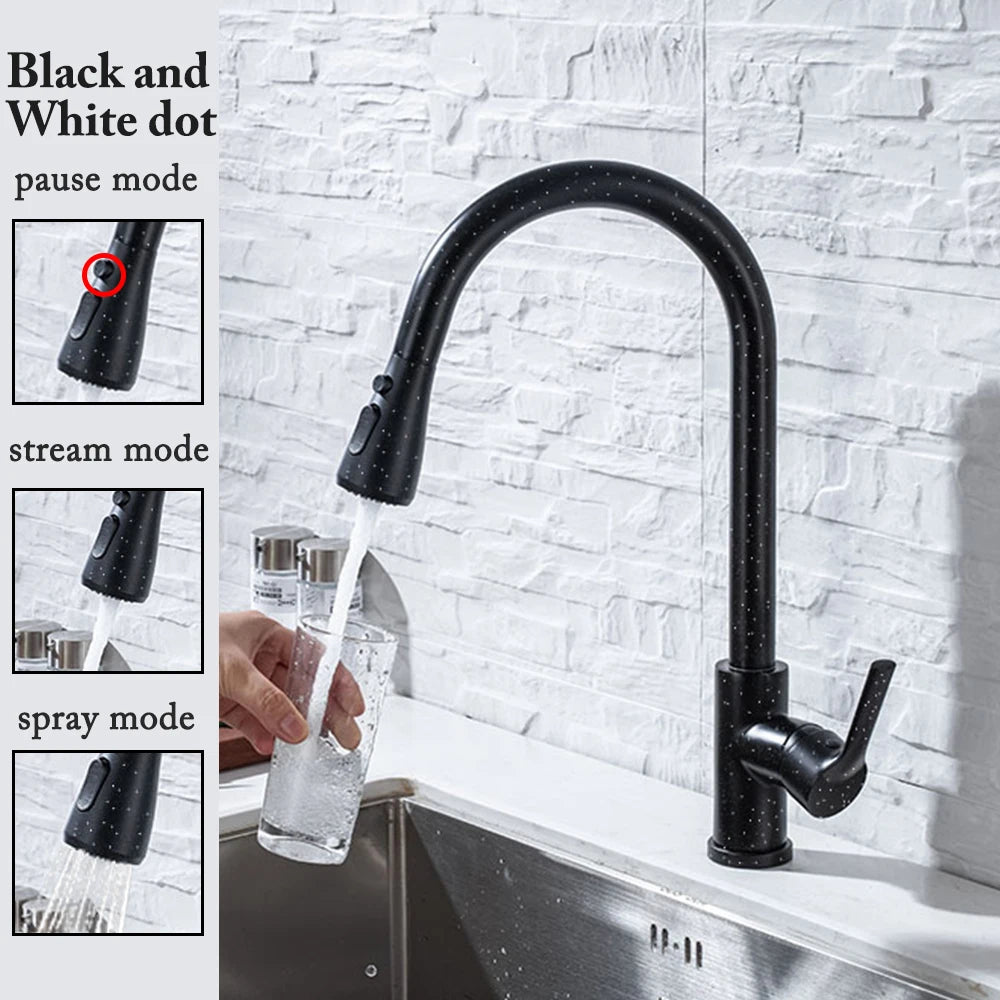 Black Pull-Out Kitchen Faucet with Brushed Nickel and Chrome Finish