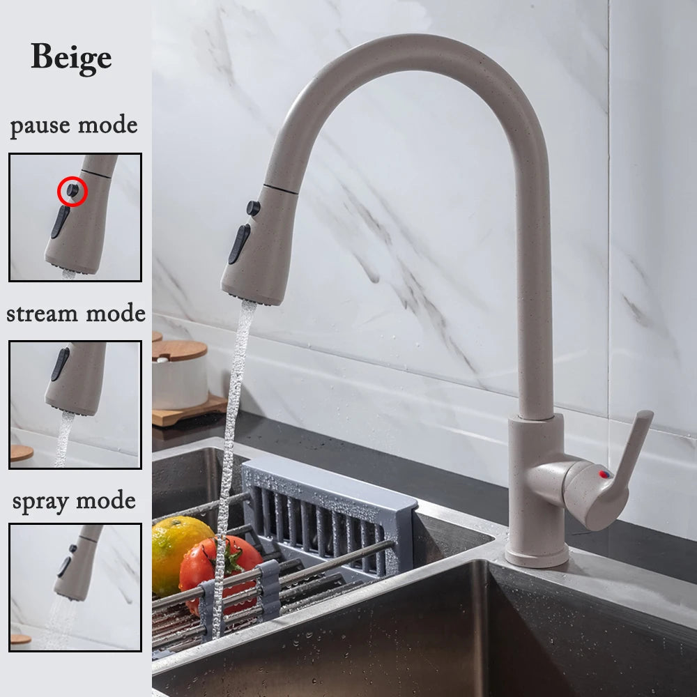 Black Pull-Out Kitchen Faucet with Brushed Nickel and Chrome Finish