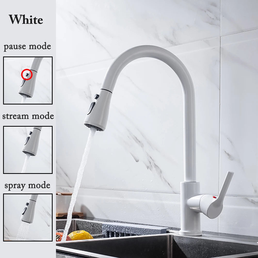 Black Pull-Out Kitchen Faucet with Brushed Nickel and Chrome Finish